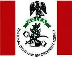 NDLEA arrests 84 suspects, seizes 451.976kg illicit drugs