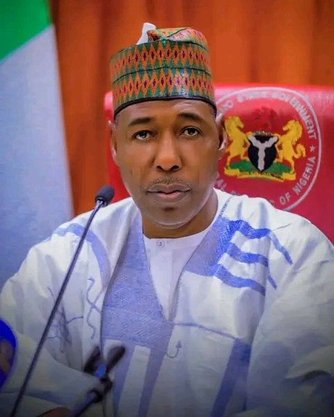 Cabinet Reshuffle: Zulum drops two commissioners, announces replacement