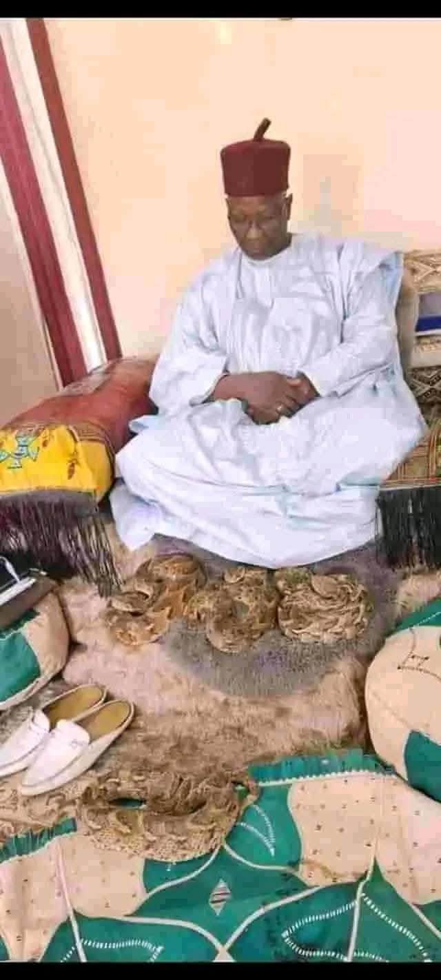 Machina Emirate: Where Snakes Pay Homage To King