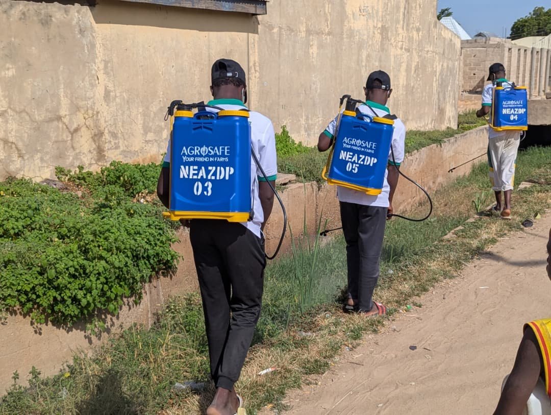 NEAZDP launches large-scale fumigation against Mosquito in Yobe 