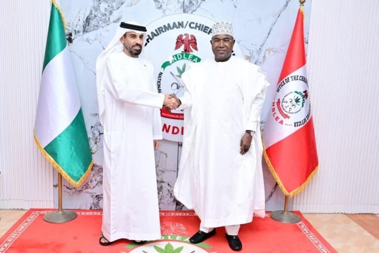 NDLEA blocked 302.202 kg of illicit drugs from getting into UAE  –  Marwa