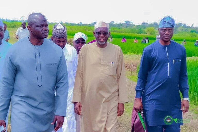 Jigawa Govt, Côte d’Ivoire-based Center sign MoU To Boost Rice Production