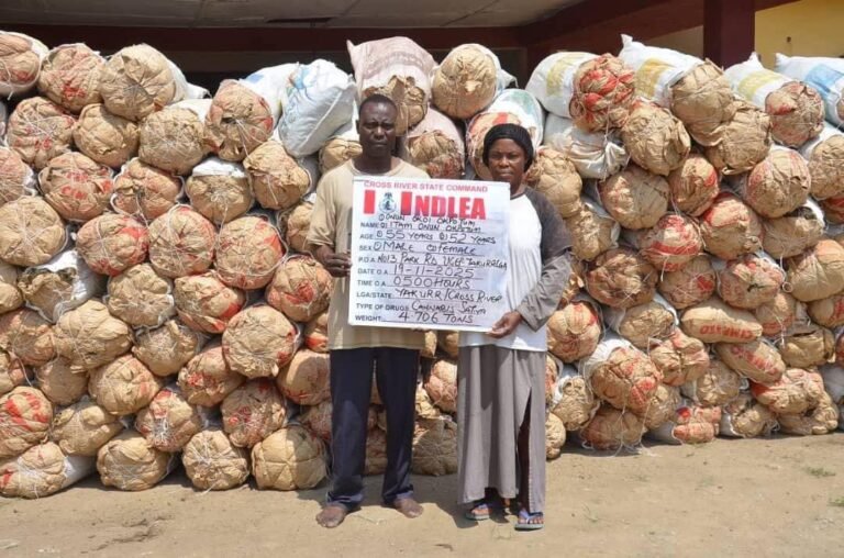 NDLEA Dislodges 6 Drug Syndicates