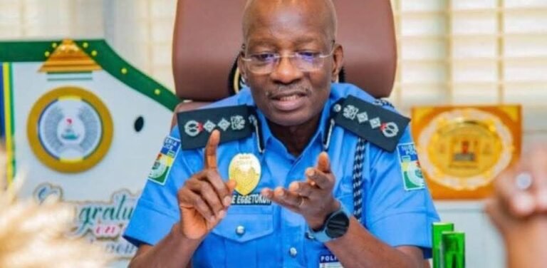 11,566 police officers guarding VIPs withdrawn, says IGP
