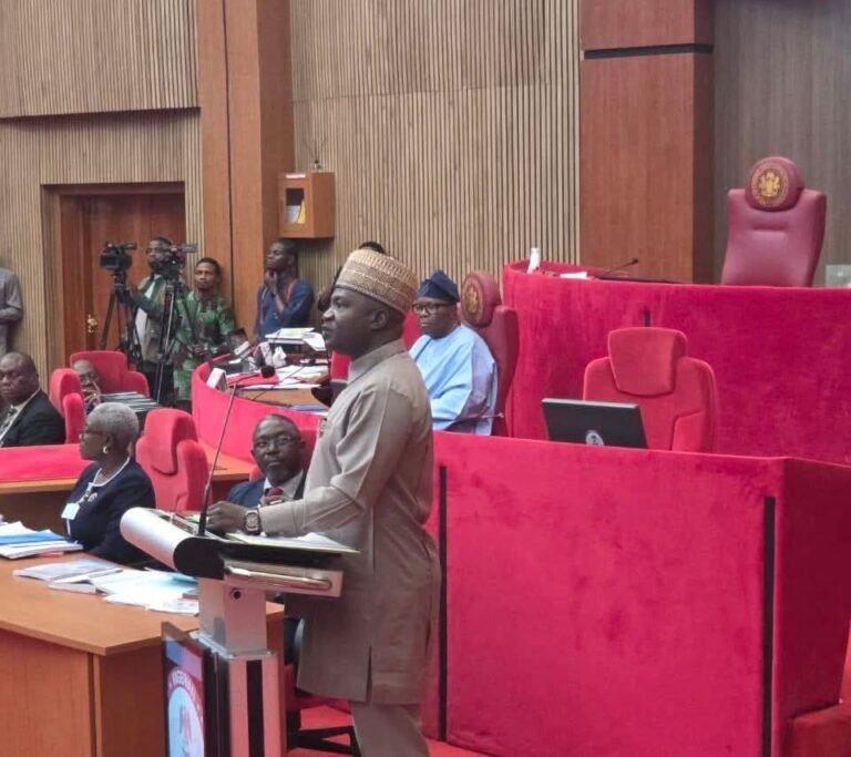 Senate confirms Gen. Musa as new Defence Minister