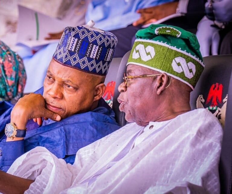 No Plan To Replace Shettima As Tinubu’s 2027 Running Mate – APC