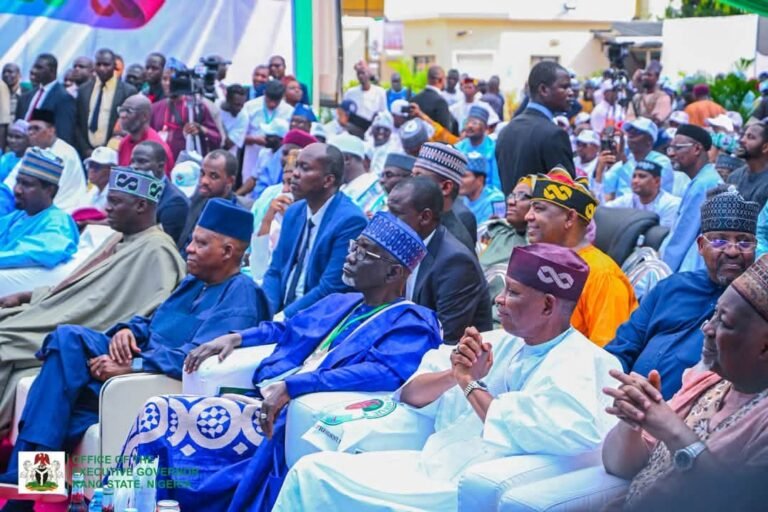 2027: Gov. Yusuf Assures Tinubu of Northern Support 