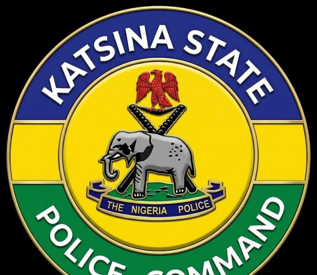 Attack On APC Convoy: Katsina Police Arrest 14 In Malumfashi