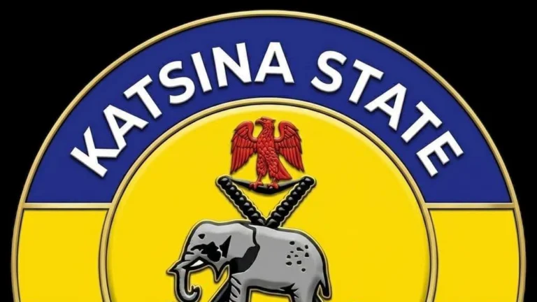 Attack On APC Convoy: Katsina Police Arrest 14 In Malumfashi 