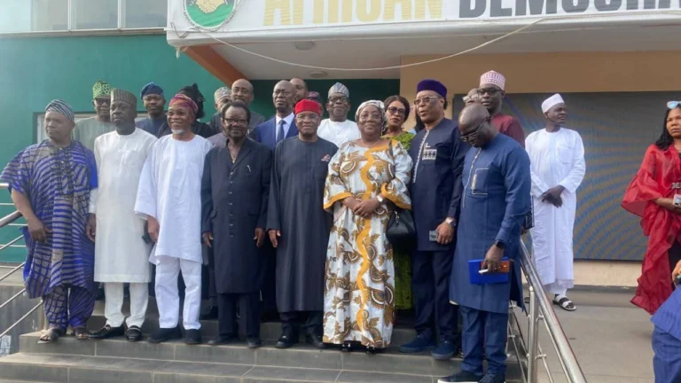 Insist On Transparent Election, ADC National Chairman Tells ECOWAS